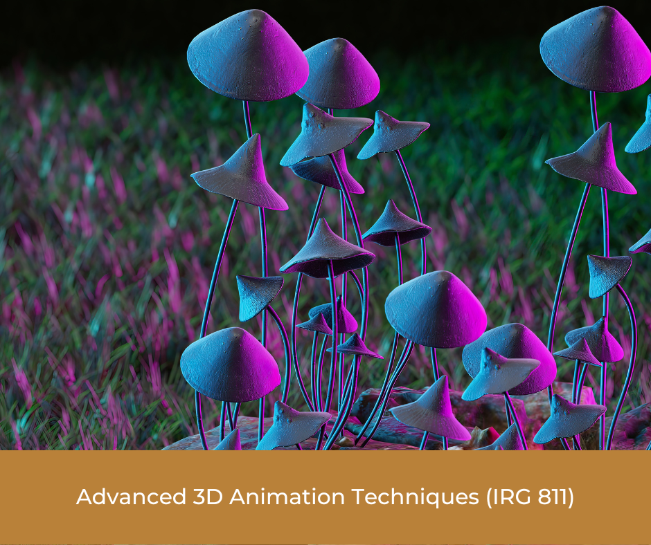 Advanced 3D Animation Techniques (IRG 811)